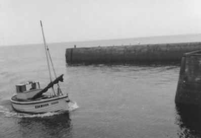 William's boat, 'Constancy', returning to Portknockie Harbour